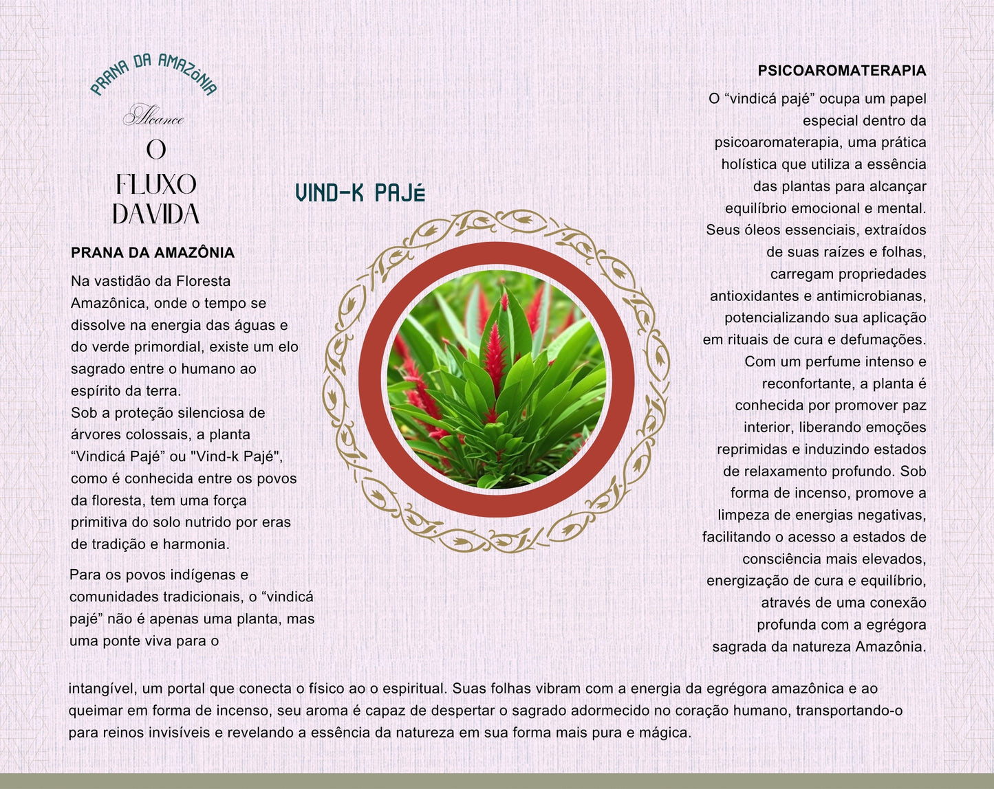 INCENSO - PRANA DA AMAZÔNIA
